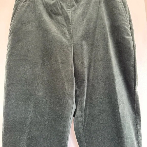 J. Jill Evergreen Velvet Dark Green Side Zip Pants NWT - Picture 4 of 12